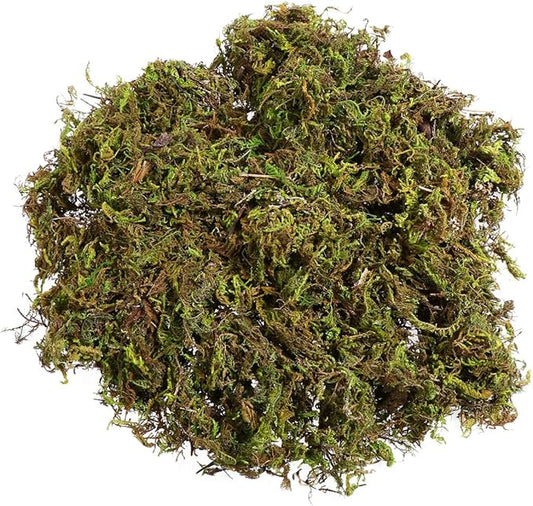 Artificial Moss