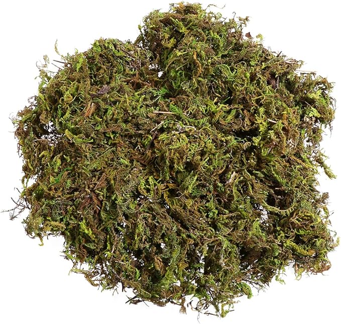 Artificial Moss