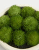 Artificial Moss in Concrete Bowl