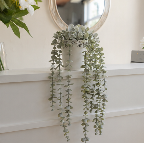 Cascading Eucalyptus Planter