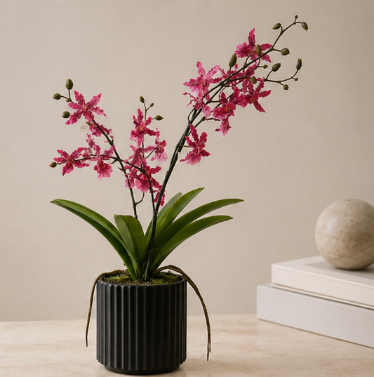 Wild Orchid