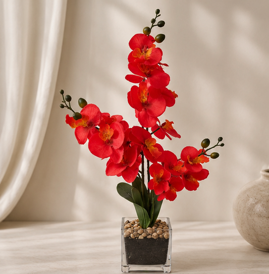Crimson Orchid