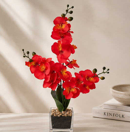 Crimson Orchid