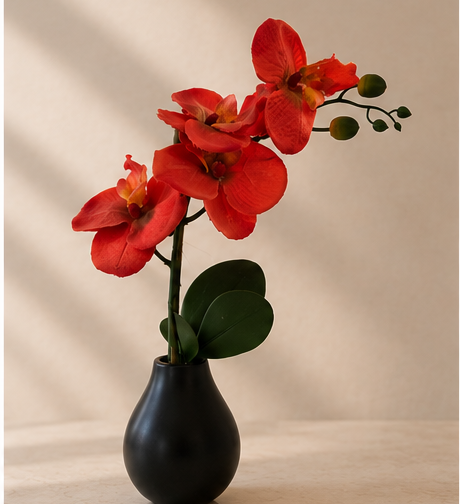 Coral Orchid Arrangement