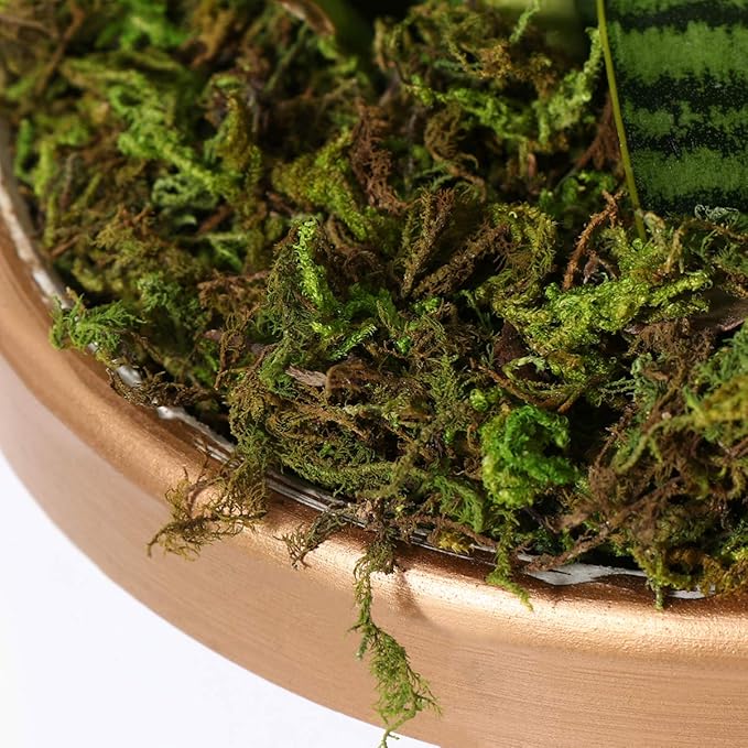 Artificial Moss