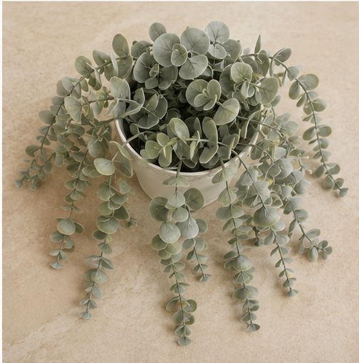 Cascading Eucalyptus Planter