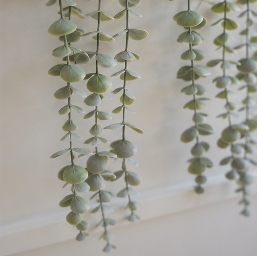 Cascading Eucalyptus Planter