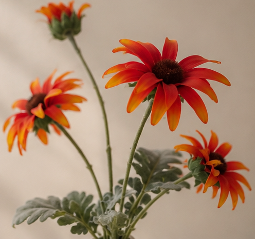 Meadow Bloom Arrangement