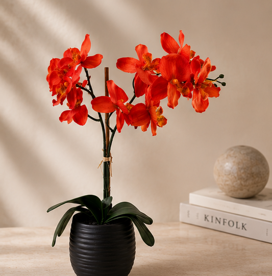 Ember Orchid