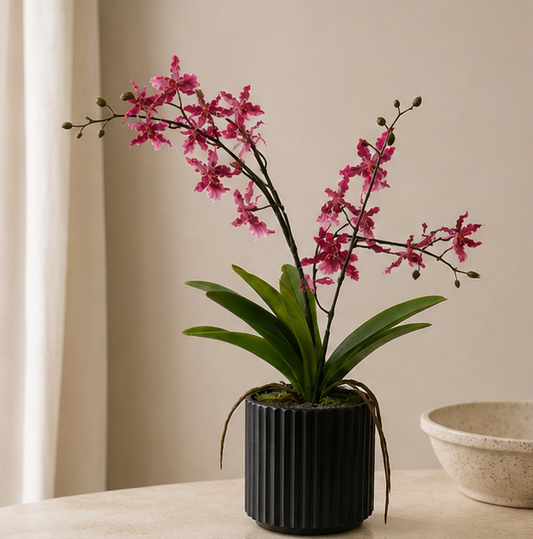 Wild Orchid
