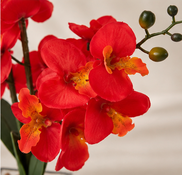 Crimson Orchid